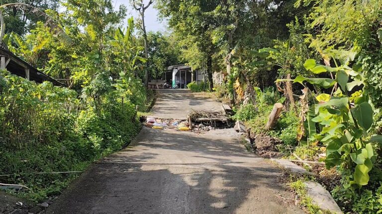 Zona Rawan Meluas, Pemkot Semarang Ajukan EWS Longsor ke Pemprov Jateng, Gunungpati–Sadeng Siaga