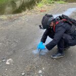 Ratusan ons bahan baku petasan dimusnahkan Polres Kendal bersama Tim Jibom Satbrimob Polda Jateng di tambang Kaliwungu Selatan.