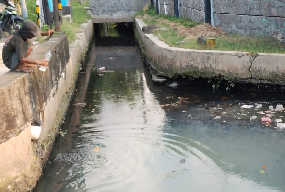 Fenomena dominasi ikan sapu-sapu di Sungai Semarang semakin mengkhawatirkan. Warga mendesak adanya gerakan pembasmian seperti di Jakarta guna menyelamatkan ekosistem sungai dan ikan lokal.