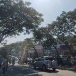 Pemerintah Kota Semarang mengambil langkah cepat menekan risiko kecelakaan di Jalan Prof. Hamka Ngaliyan dengan memasang portal pembatas truk dan mengkaji pelebaran jalan.