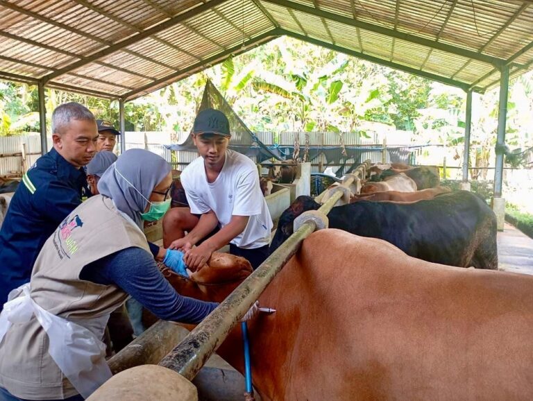 Program layanan kesehatan hewan gratis “Healing” dari Pemprov Jawa Tengah terus diperluas hingga desa.