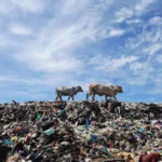 Tumpukan sampah di TPA Jatibarang