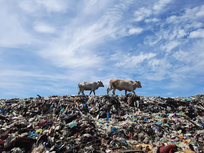 Tumpukan sampah di TPA Jatibarang