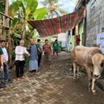 Pegadaian saat menyalurkan hewan kurban pada Idul Adha 1447. (Dok.Folkstime)