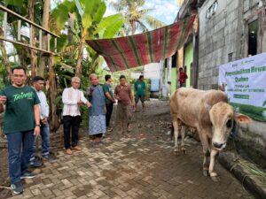 Pegadaian saat menyalurkan hewan kurban pada Idul Adha 1447. (Dok.Folkstime)