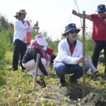 Wali Kota Semarang Agustina Wilujeng mengajak Karang Taruna Kecamatan Tugu merawat 200 bibit cemara laut yang ditanam di Pulau Tirang.