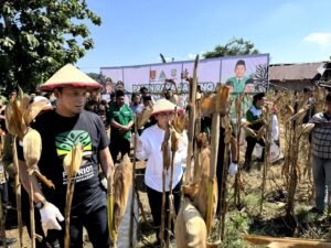 GP Ansor Kota Semarang menggelar Panen Raya Jagung di Mijen sebagai gerakan ketahanan pangan berbasis pemberdayaan masyarakat yang mendapat apresiasi Wali Kota Agustina.