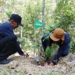 Telkomsel melalui program Telkomsel Jaga Bumi mengajak 40 volunteer menanam 2.000 pohon kopi di Waduk Sermo, Kulon Progo.