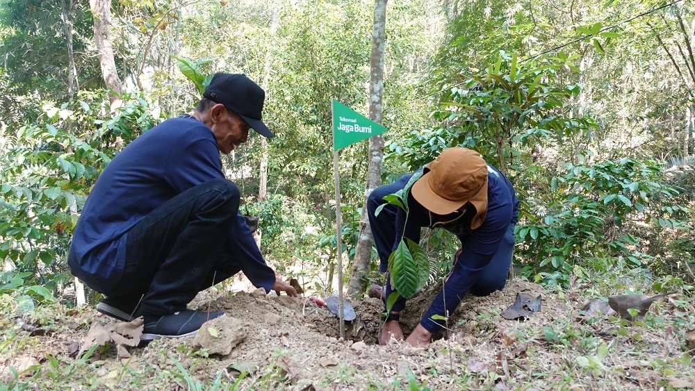Telkomsel melalui program Telkomsel Jaga Bumi mengajak 40 volunteer menanam 2.000 pohon kopi di Waduk Sermo, Kulon Progo.