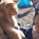 Seorang bocah perempuan berusia 7 tahun berhasil mencapai puncak Gunung Lawu melalui jalur Cemoro Sewu.