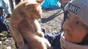 Seorang bocah perempuan berusia 7 tahun berhasil mencapai puncak Gunung Lawu melalui jalur Cemoro Sewu.