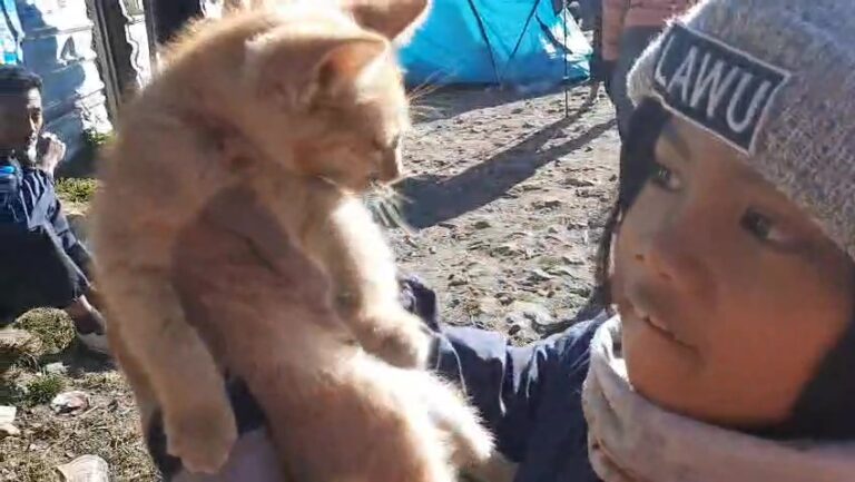 Seorang bocah perempuan berusia 7 tahun berhasil mencapai puncak Gunung Lawu melalui jalur Cemoro Sewu.