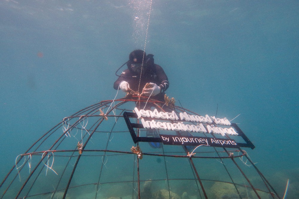 1.300 Fragmen Karang Ditanam di Karimunjawa, Upaya Pulihkan Ekosistem Laut dan Wisata Bahari