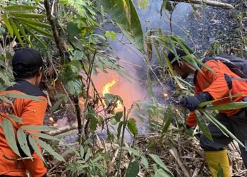 Karhutla melanda kawasan Perhutani di Desa Kaliguwo, Wonosobo. Api membakar 4-7 hektare dan pemadaman terkendala angin kencang, cuaca panas serta asap pekat.