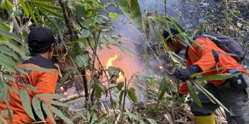 Karhutla melanda kawasan Perhutani di Desa Kaliguwo, Wonosobo. Api membakar 4-7 hektare dan pemadaman terkendala angin kencang, cuaca panas serta asap pekat.